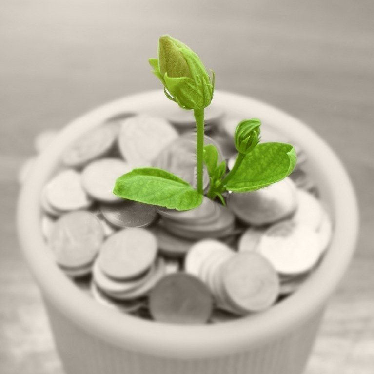 green plants growing on coins in a pot