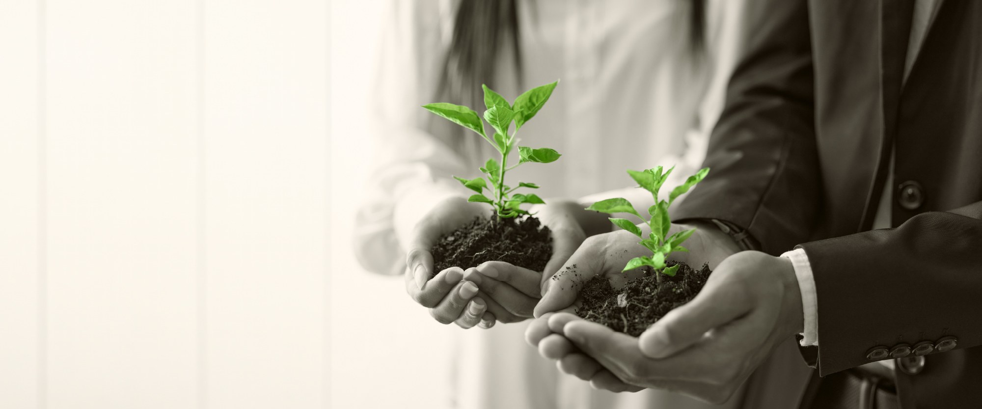 two people holding dirt with sprouting leaves