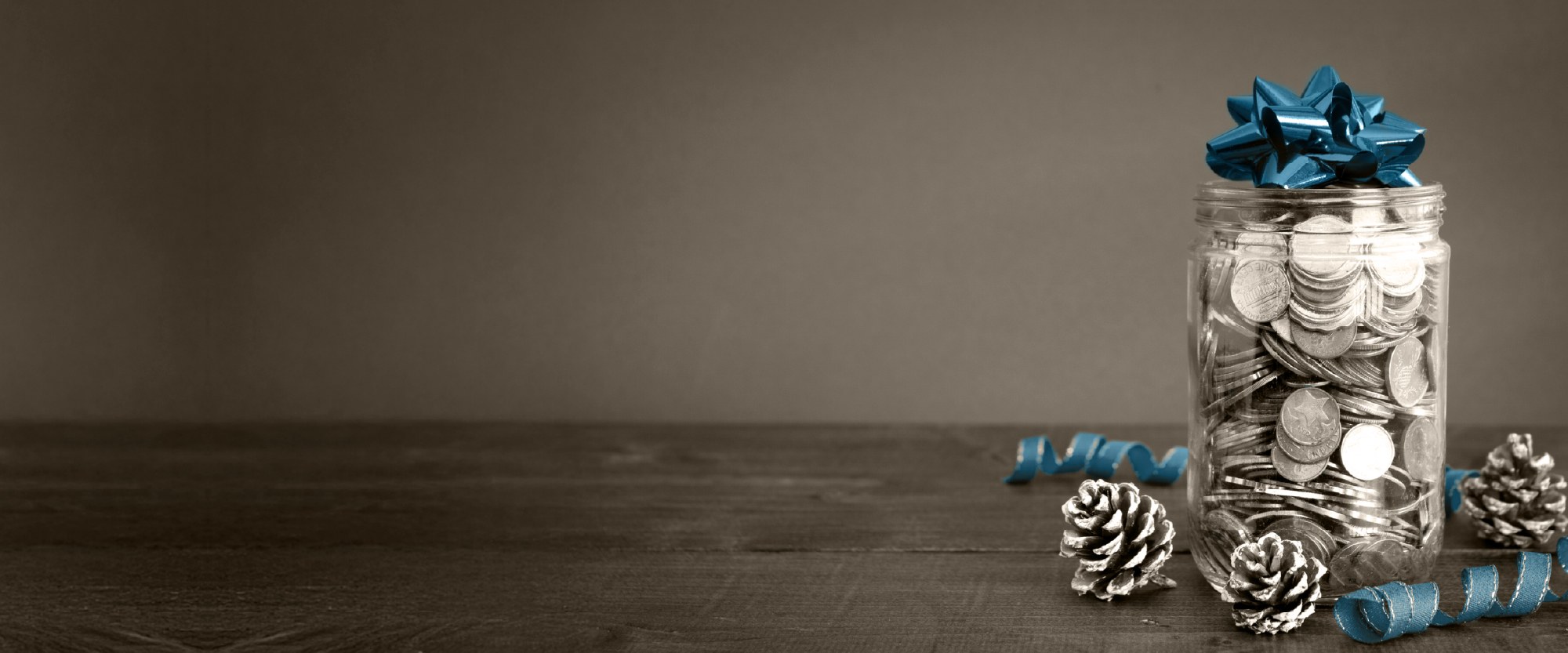 green shoot of plant growing out of soil