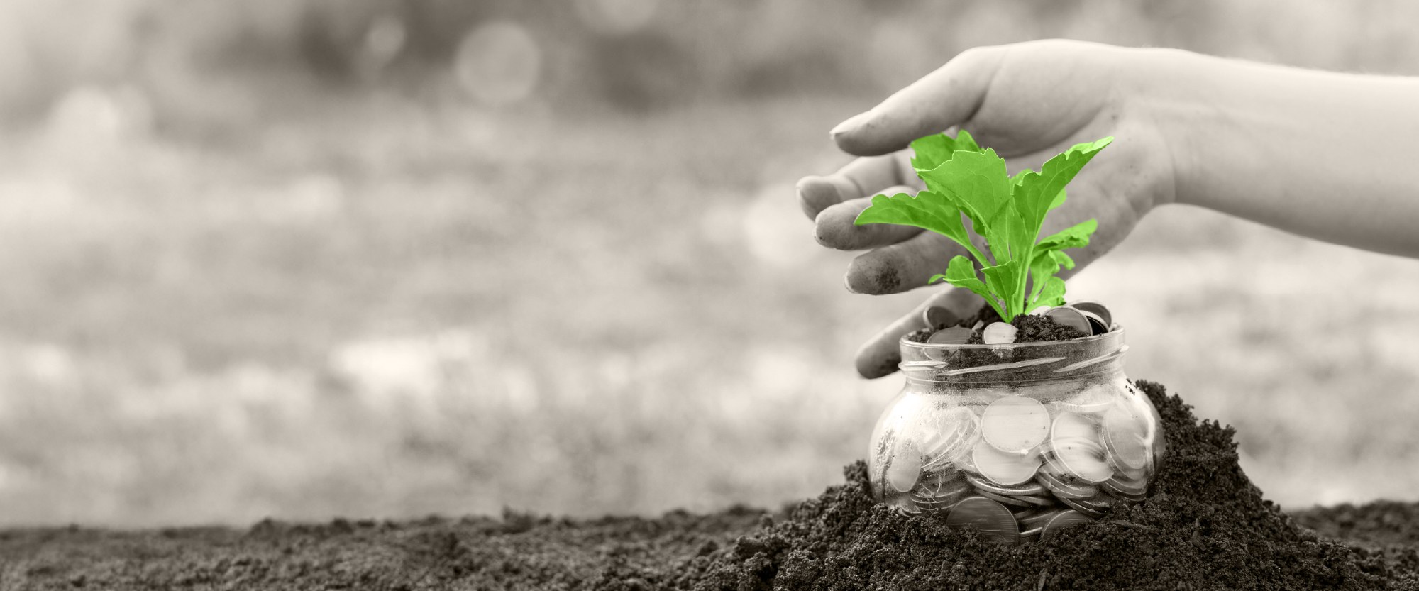 hands holding soil with glass jar of coins with plant growing on top